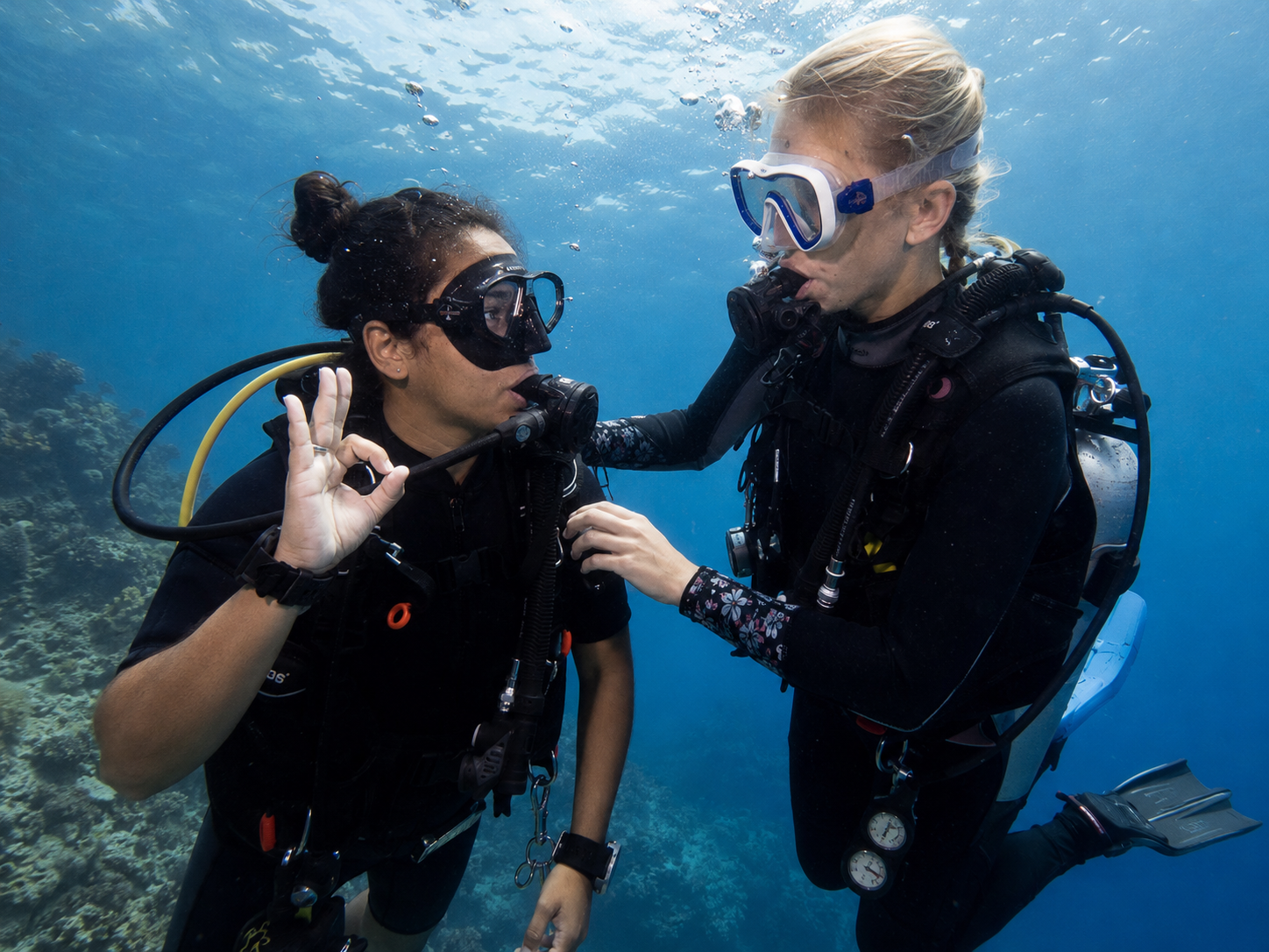 Diver writing notes in a journal on the boat